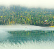 Altaï Visite du lac Teletskoe