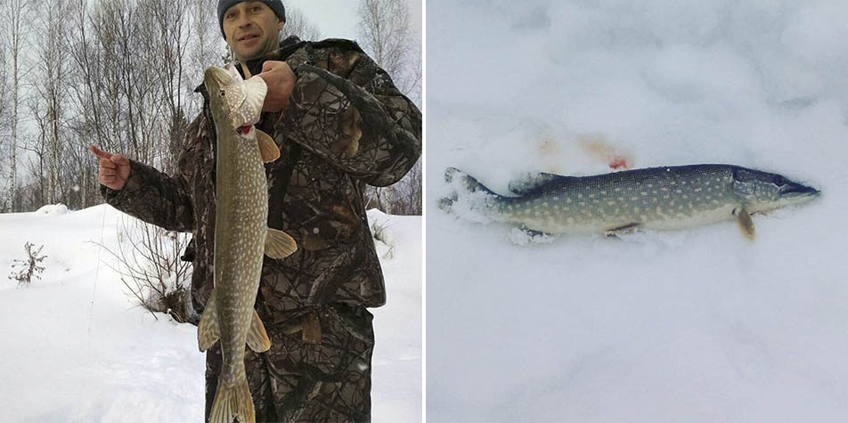 Individual fishing on Biya river (Russian Altai).