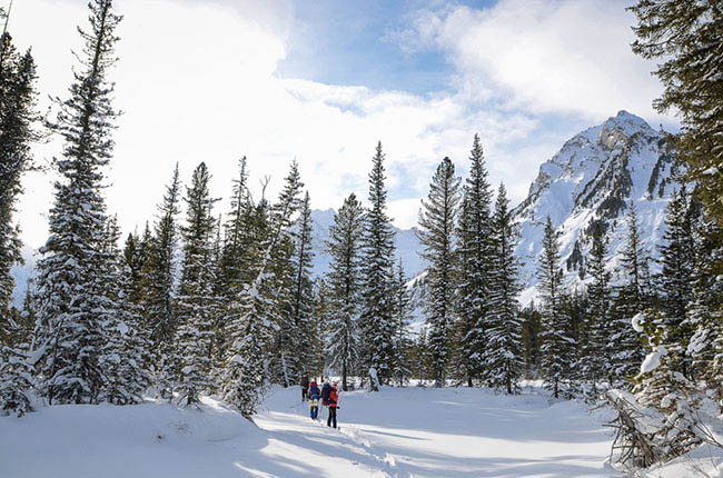 Winter adventure tourism in Siberia