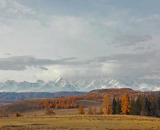 Visite photo «L'Altaï doré».