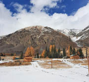 Winter tour in Altai «Siberian holidays»